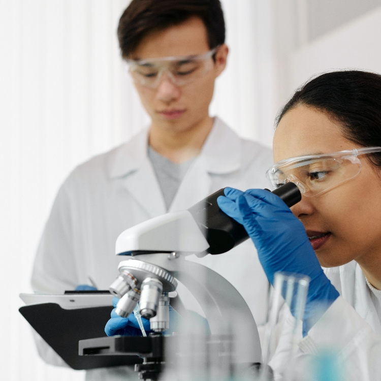 Laboratory researchers inspecting samples at a compound microscope